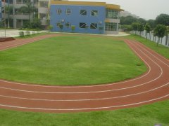 ��ϩ��W���������ʲô��