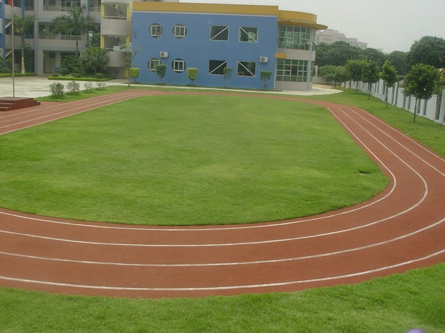 ��ϩ��W(w��ng)���(ch��ng)��(y��u)��(sh��)��ʲô��